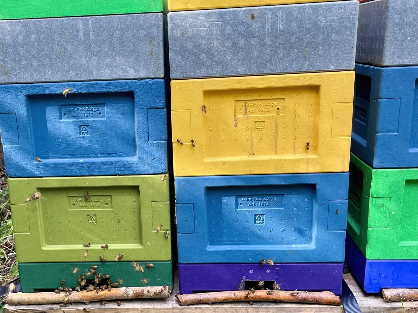 Ruchettes Mini Plus empilées, en bleu, jaune et vert, avec des abeilles au trou de vol